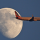 Illustration for article titled Why Flight Attendants Should Lead the Fight Against Climate Change